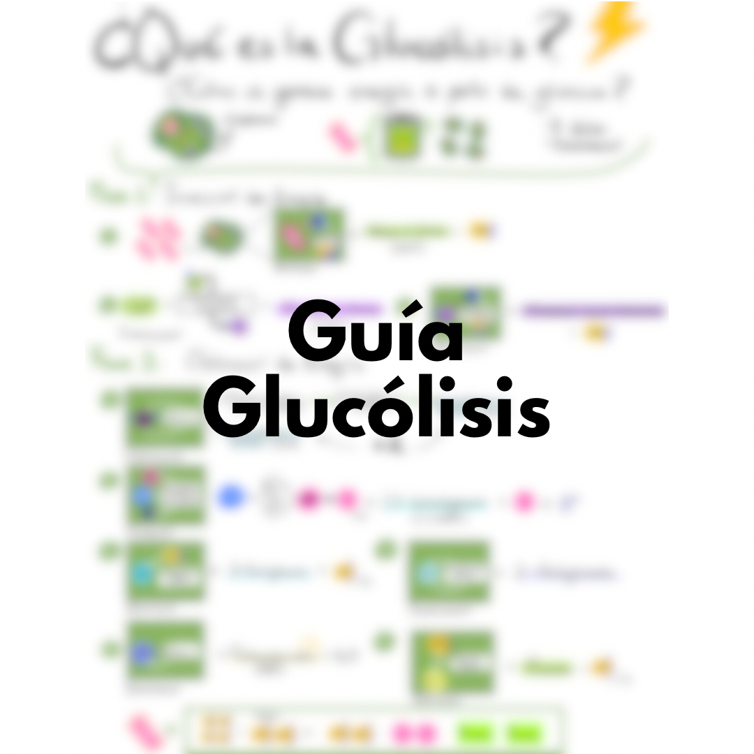 Guía Glucólisis